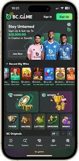 Comprehensive Overview of BC App Transforming User Experience