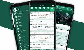 Download the BetWinner Mobile App Your Guide to Seamless Betting
